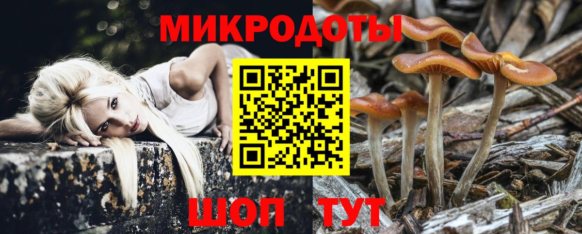 Псилоцибиновые грибы мицелий  Вход с VPN  Кировск 